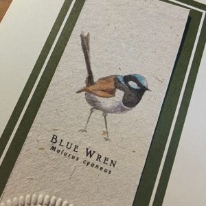 Blue Wren available as a bookmark card or print by Joanna Gair