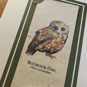 Booker Owl available as a bookmark card or print by Joanna Gair