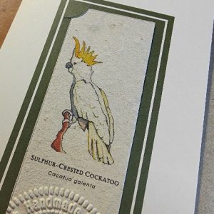 Sulphur-Crested Cockatoo available as a bookmark card or print by Joanna Gair
