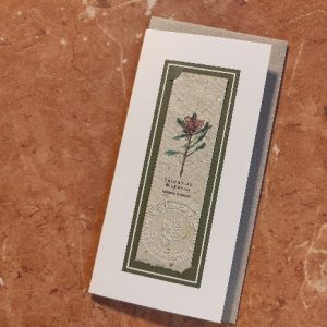Tasmanian Waratah available as a bookmark card or print by Joanna Gair