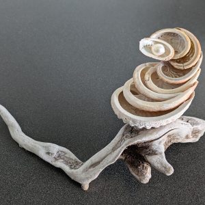 Driftwood, Abalone shell, and freshwater pearl mini sculpture by Bella Vandermeer